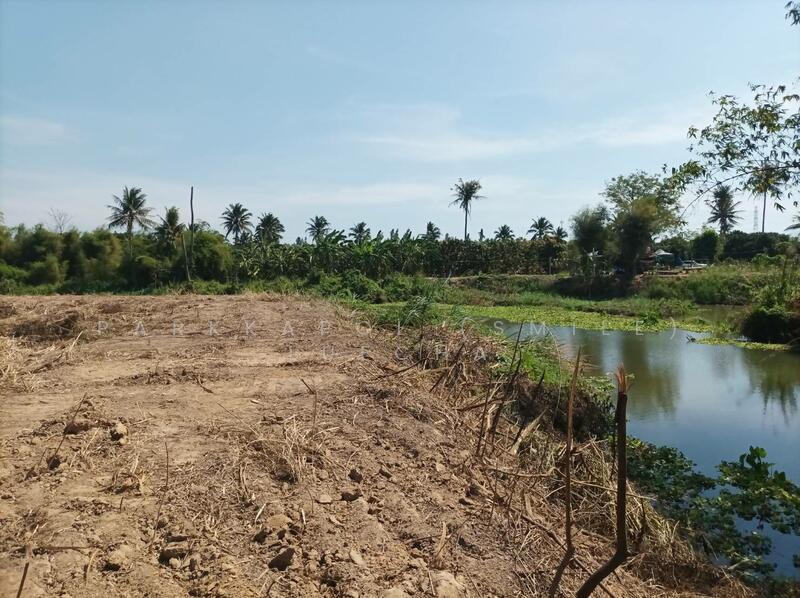 For Sale - Beautiful Land with Mountain Views in Pranburi, Prachuap Khiri Khan