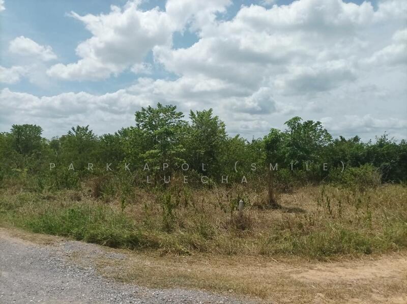 For Sale - Beautiful Land with Mountain Views in Pranburi, Prachuap Khiri Khan