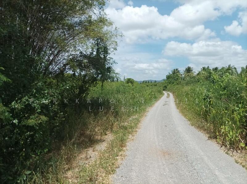 For Sale - Beautiful Land with Mountain Views in Pranburi, Prachuap Khiri Khan