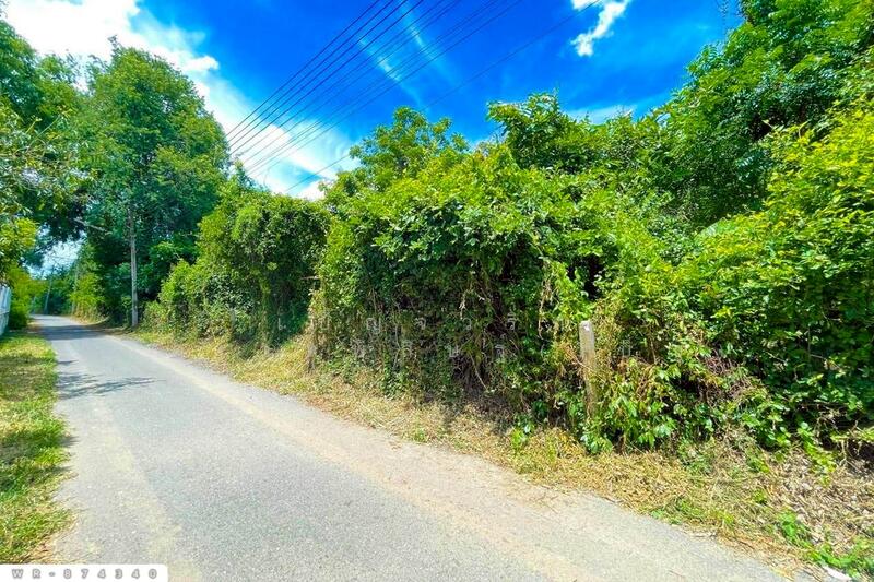 ขาย - ที่ดิน มหาราช 5 ไร่ อยุธยา ใกล้พุทธอุทยานมหาราช หลวงปู่ทวด, พระนครศรีอยุธยา