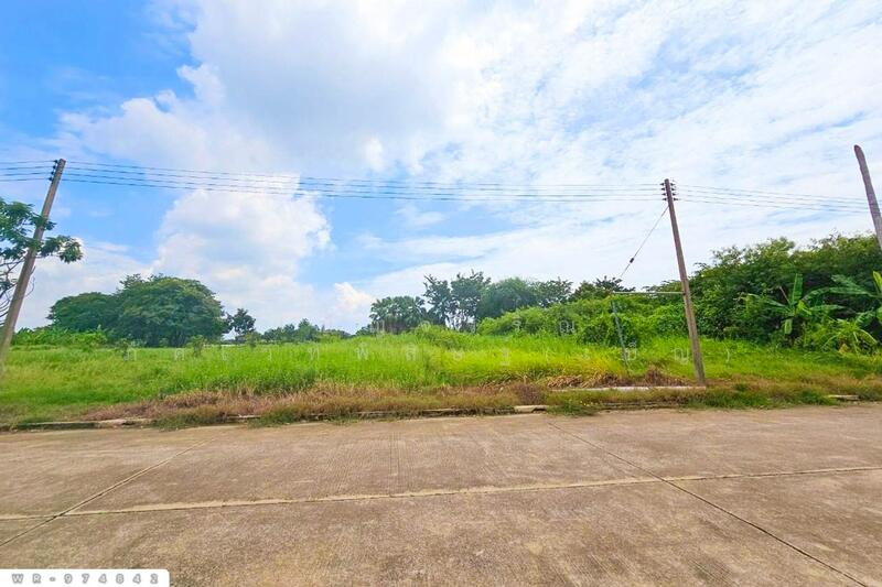 ขาย - ที่ดิน นครชัยศรี, นครชัยศรี, นครปฐม