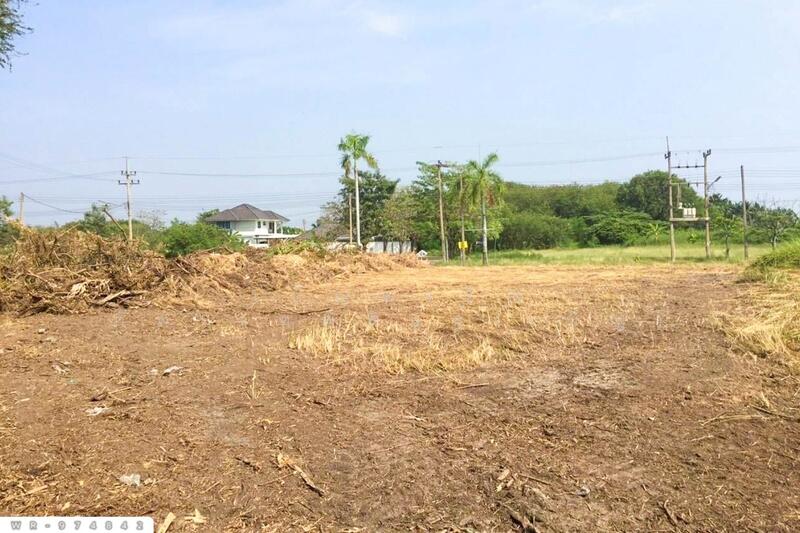 ขาย - ที่ดิน นครชัยศรี, นครชัยศรี, นครปฐม