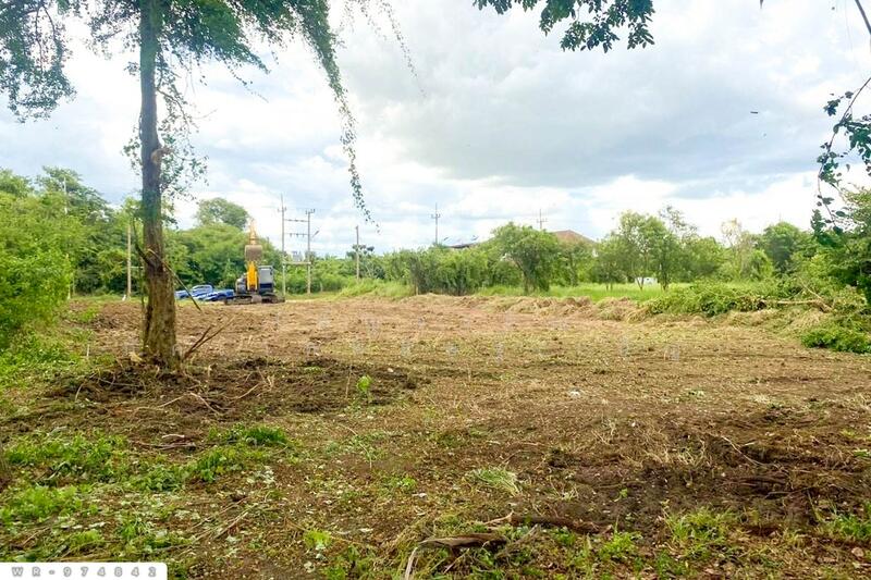 ขาย - ที่ดิน นครชัยศรี, นครชัยศรี, นครปฐม