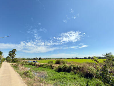 ขาย - ที่ดินบ้านโพธิ์ ฉะเชิงเทรา, ฉะเชิงเทรา