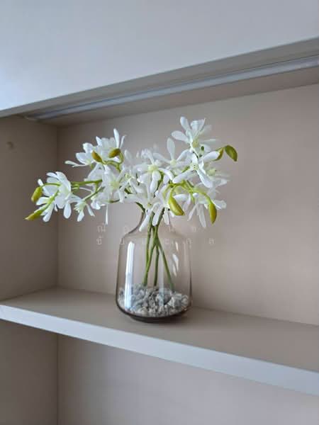 Nue District R9 : นิว ดิสทริค อาร์ 9, กรุงเทพ, 59 ถนนพระราม 9, ห้วยขวาง, ห้วยขวาง, กรุงเทพ, 27 ตร.ม., คอนโด ให้เช่า, โดย ณัฏฐนิช​ ชัยนะกุล, 500019234 - DDproperty.com