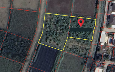 ขาย - ที่ดินเปล่า เชียงใหม่ สารภี หนองผึ้ง, เชียงใหม่