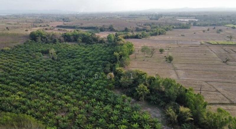 ขาย - Udon Thani, อุดรธานี