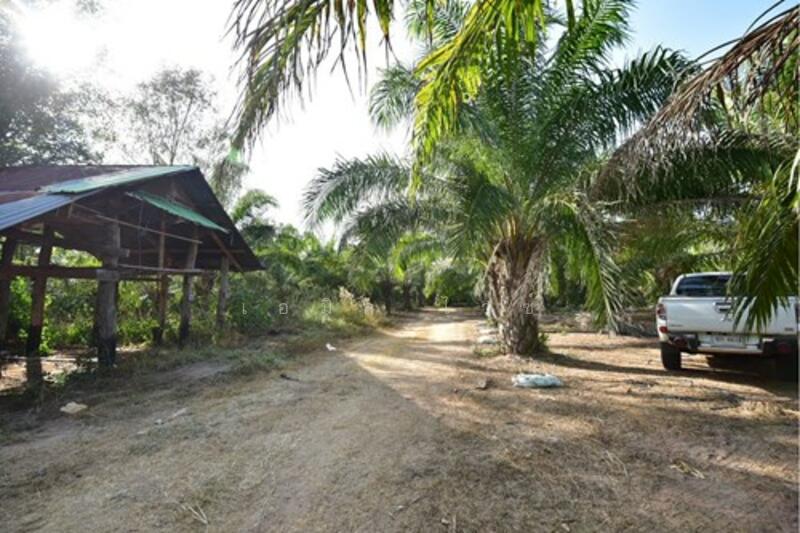 ขาย - Udon Thani, อุดรธานี