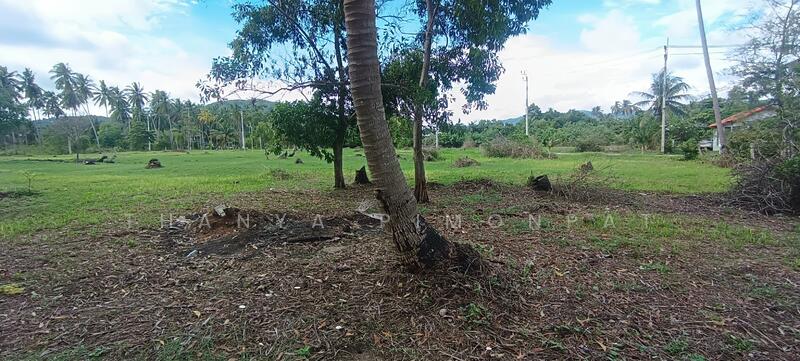 For Sale - Land Taling Ngam, Ko Samui, Surat Thani