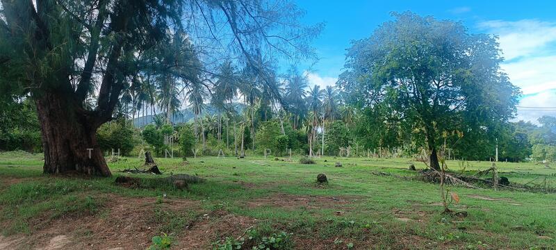 For Sale - Land Taling Ngam, Ko Samui, Surat Thani