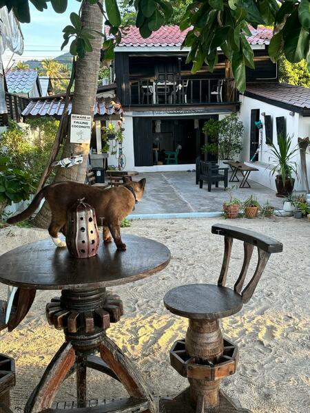 For Sale - Ultimate Beachfront Bliss 3 Bedrooms House in Chaloklum, Surat Thani