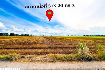 ขาย - DD-944698 ที่ดินเกยไชย 5 ไร่ 20 ตร.ว. ชุมแสง นครสวรรค์ ใกล้ที่ว่าการอำเภอชุมแสง, นครสวรรค์