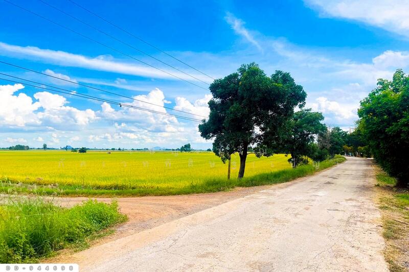 ขาย - DD-944698Land at Kechai, 5 rai 20 sq.w., Chumsaeng, Nakhon Sawan,, นครสวรรค์