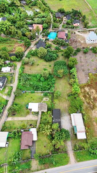 ขาย - ที่ดิน แม่สรวย, แม่สรวย, เชียงราย