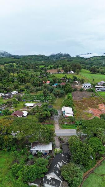 ขาย - ที่ดิน แม่สรวย, แม่สรวย, เชียงราย