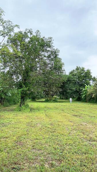 ขาย - ที่ดิน แม่สรวย, แม่สรวย, เชียงราย