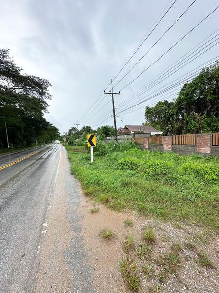 ขาย - ที่ดิน แม่สรวย, แม่สรวย, เชียงราย