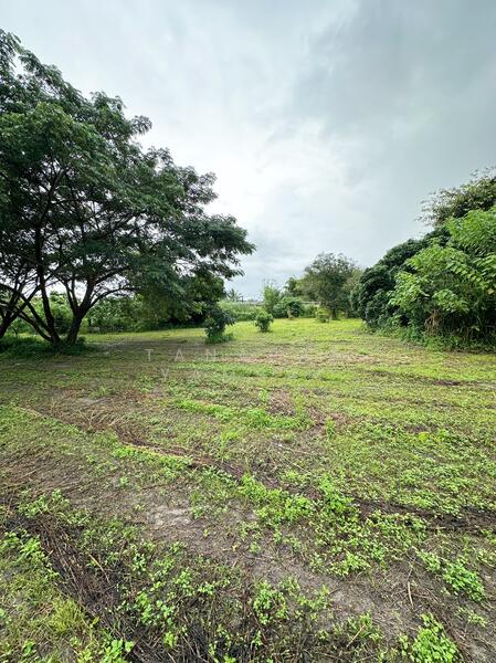 ขาย - ที่ดิน แม่สรวย, แม่สรวย, เชียงราย