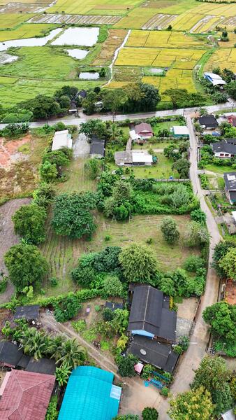 ขาย - ที่ดิน แม่สรวย, แม่สรวย, เชียงราย