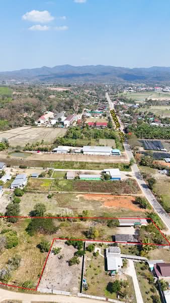 Maesuay, Chiang Rai, Mae Sa-ruai, Mae Sa-ruai, Chiang Rai, , 4,672 sqm, Land For Sale, by Tanapat Yamsai, 500019788 - DDproperty.com