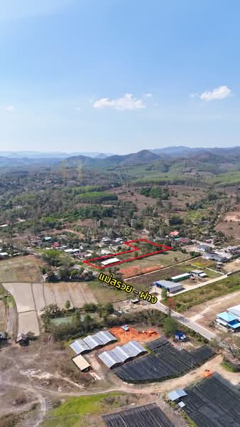 Maesuay, Chiang Rai, Mae Sa-ruai, Mae Sa-ruai, Chiang Rai, , 4,672 sqm, Land For Sale, by Tanapat Yamsai, 500019788 - DDproperty.com