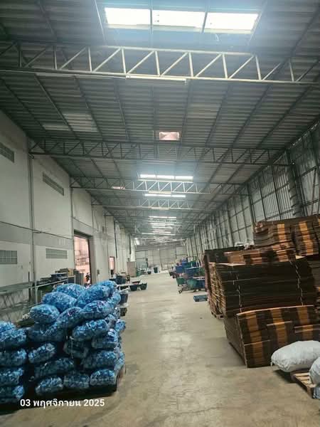 ให้เช่าโรงงาน พระราม2 ถนนบางปลา ท่าทราย สมุทรสาคร 2145 ตรม, สมุทรสาคร, ถนนบางปลา, ท่าทราย, เมืองสมุทรสาคร, สมุทรสาคร, 2,300 ตร.ม., โกดัง-โรงงาน ให้เช่า, โดย Jakarin Houpramong, 500019919 - DDproperty.com