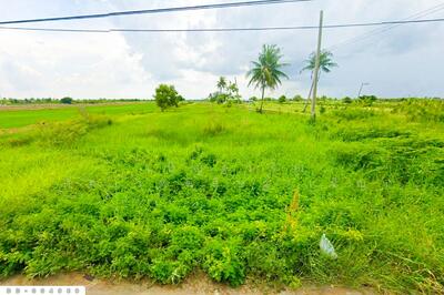 ขาย - DD-004969 ที่ดินศีรษะกระบือ 52 ตร.ว. องครักษ์ นครนายก ใกล้มหาวิทยาลัยศรีนครินทรวิโรฒ องครักษ์, นครนายก