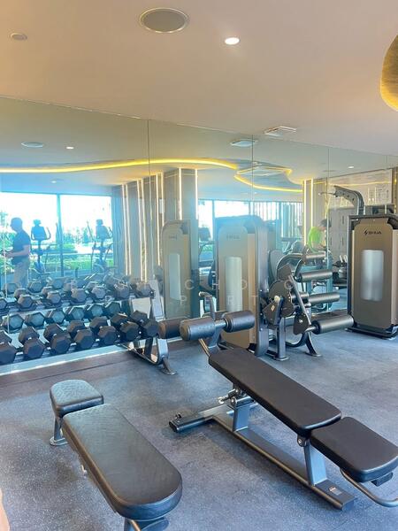 ขาย - Arise Charoen Mueang : อะไรซ์ เจริญเมือง, เชียงใหม่