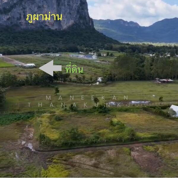 ขาย - หลงเขาคาเฟ่ ภูผาม่าน ขอนแก่น, ขอนแก่น