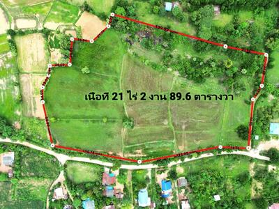 ขาย - ขายที่ดินเปล่า อ.โนนไทย จ.นครราชสีมา 21 ไร่ 2 งาน 89.6 ตร.ว. ใกล้มอเตอร์เวย์, นครราชสีมา