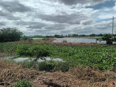 ขาย - ขายที่ดินเปล่า ติดถนนหลวงหมายเลข 3496 ใกล้ตลาดร้อยปีสามชุก สุพรรณบุรี ขนาด 1 ไร่ 2 งาน 2 ตร.ว, สุพรรณบุรี
