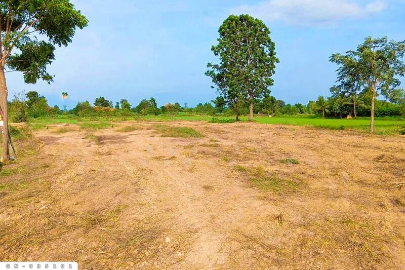 ขาย - GN-035101 ที่ดินภูเขียว 7 ไร่ 190 ตร.ว. ชัยภูมิ ใกล้วิทยาลัยเทคโนโลยีบริหารธุรกิจศิขรินทร์, ชัยภูมิ