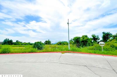 ขาย - NY-964794 ที่ดินมาบไผ่ 10 ไร่ 391 ตร.ว. ชลบุรี ใกล้โรงเรียนนานาชาติเวลล์ส ชลบุรี, ชลบุรี