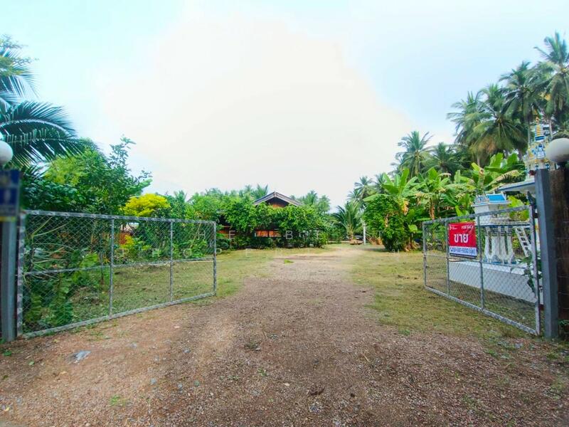 For Sale - บ้านเดี่ยวพร้อมที่ดินอัมพวา สมุทรสงคราม, Samut Songkhram
