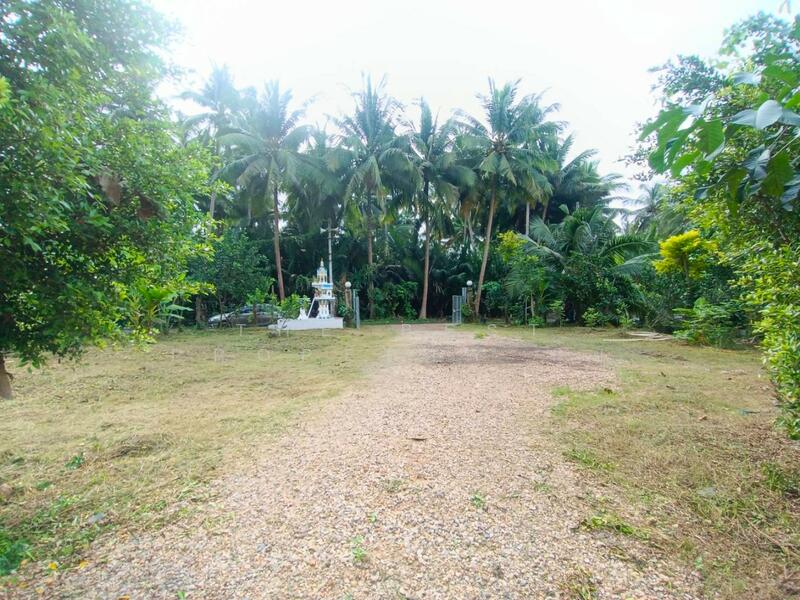 For Sale - บ้านเดี่ยวพร้อมที่ดินอัมพวา สมุทรสงคราม, Samut Songkhram