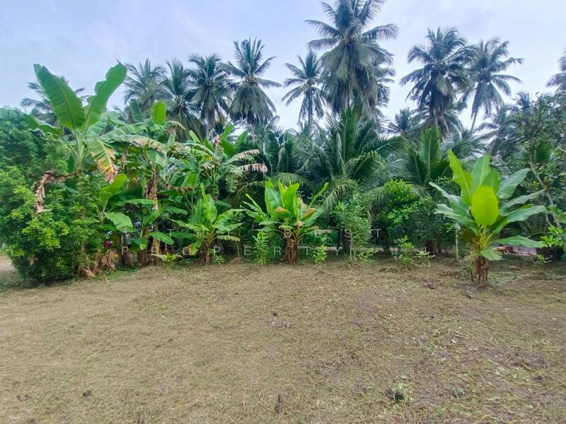 For Sale - บ้านเดี่ยวพร้อมที่ดินอัมพวา สมุทรสงคราม, Samut Songkhram