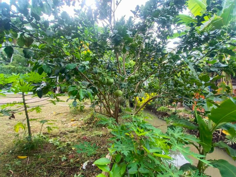 For Sale - บ้านเดี่ยวพร้อมที่ดินอัมพวา สมุทรสงคราม, Samut Songkhram