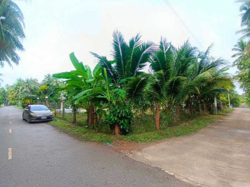 For Sale - บ้านเดี่ยวพร้อมที่ดินอัมพวา สมุทรสงคราม, Samut Songkhram