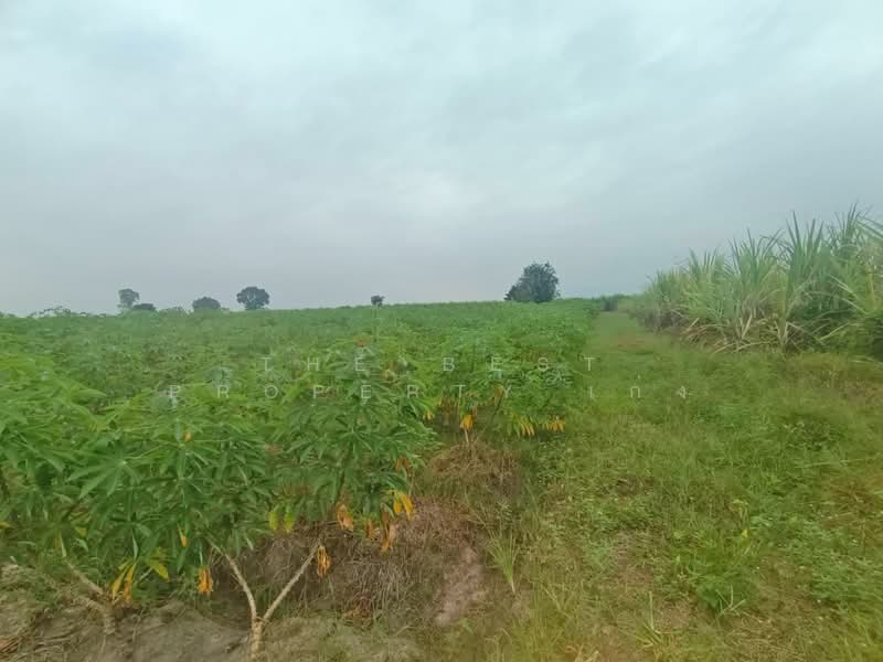 ที่ดินสวนผึ้ง ราชบุรี, Ratchaburi, Pa Wai, Suan Phung, Ratchaburi, , 134,240 sqm, Land For Sale, by The Best Property เก่ง, 500020868 - DDproperty.com