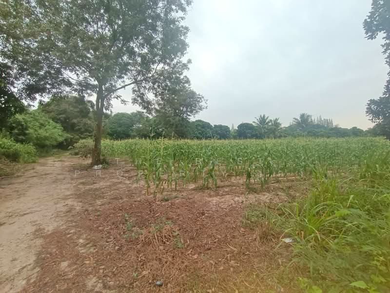 ที่ดินสวนผึ้ง ราชบุรี, Ratchaburi, Pa Wai, Suan Phung, Ratchaburi, , 134,240 sqm, Land For Sale, by The Best Property เก่ง, 500020868 - DDproperty.com