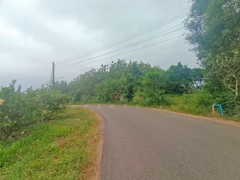 ที่ดินสวนผึ้ง ราชบุรี, Ratchaburi, Pa Wai, Suan Phung, Ratchaburi, , 134,240 sqm, Land For Sale, by The Best Property เก่ง, 500020868 - DDproperty.com