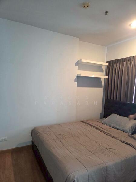 ให้เช่า - The Parkland Petchkasem : เดอะ พาร์คแลนด์ เพรชเกษม, กรุงเทพ