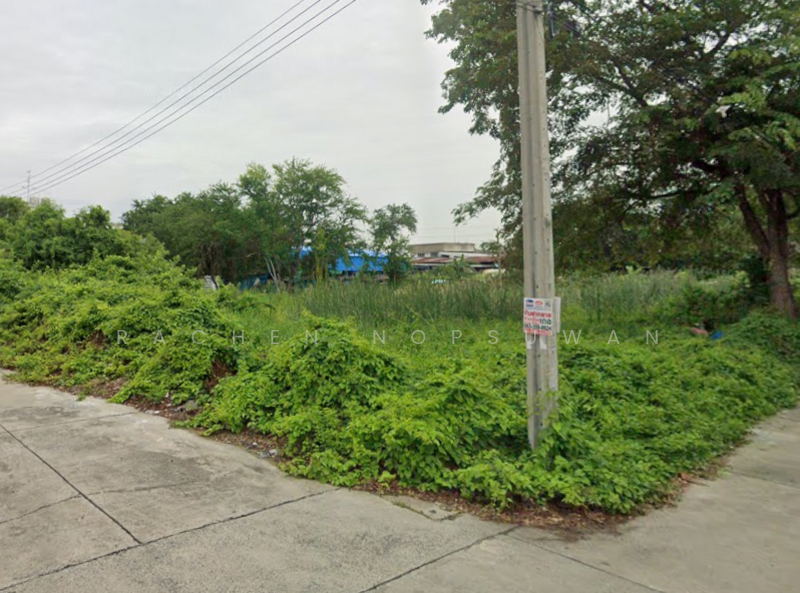 แปลงที่ดิน