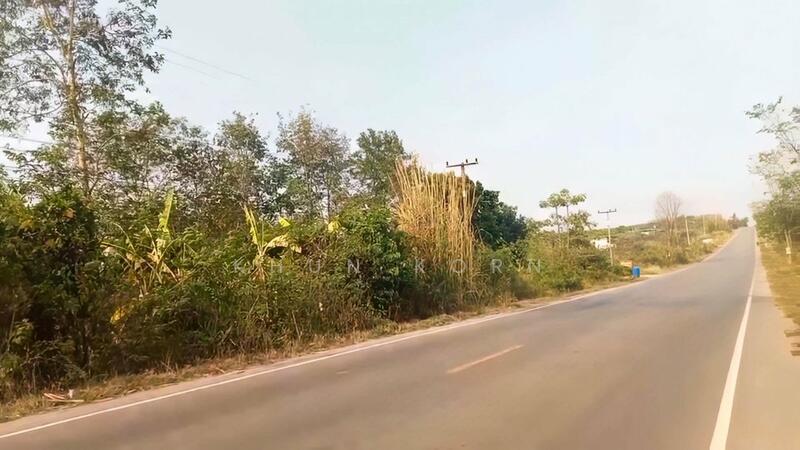 ขาย - ขาย ที่ดิน หนองกุงศรี กาฬสินธุ์ ติดถนนทางหลวง ห้วยเม็ก - ท่าคันโท พร้อมสวนปาล์มและสวนอิน, กาฬสินธุ์