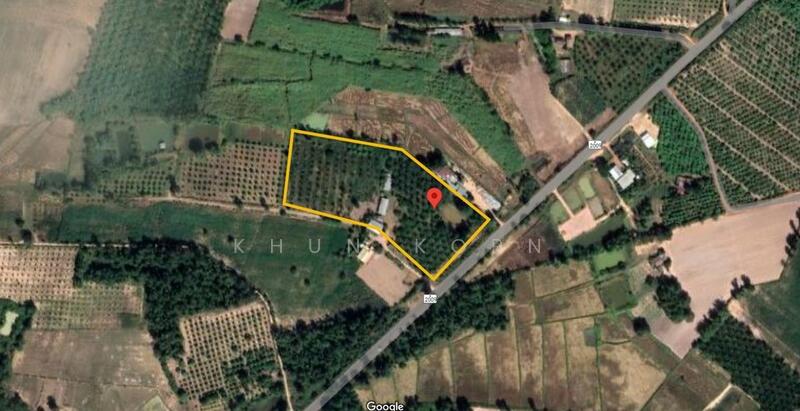 ขาย - ขาย ที่ดิน หนองกุงศรี กาฬสินธุ์ ติดถนนทางหลวง ห้วยเม็ก - ท่าคันโท พร้อมสวนปาล์มและสวนอิน, กาฬสินธุ์