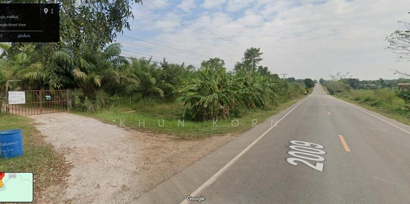 ขาย - ขาย ที่ดิน หนองกุงศรี กาฬสินธุ์ ติดถนนทางหลวง ห้วยเม็ก - ท่าคันโท พร้อมสวนปาล์มและสวนอิน, กาฬสินธุ์