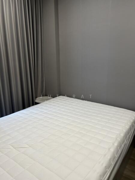 ให้เช่า - Brixton Pet & Play Sukhumvit 107 : บริกซ์ตัน เพ็ทแอนด์เพลย์ สุขุมวิท 107, สมุทรปราการ