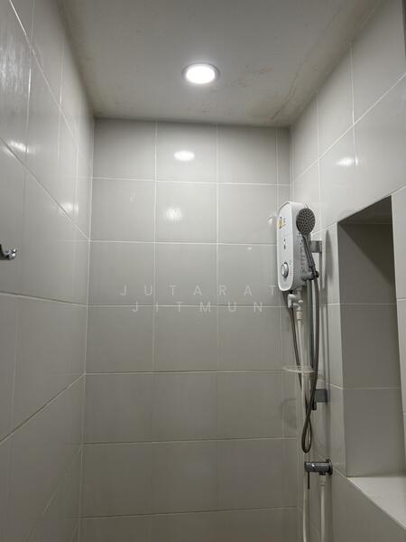 ให้เช่า - Brixton Pet & Play Sukhumvit 107 : บริกซ์ตัน เพ็ทแอนด์เพลย์ สุขุมวิท 107, สมุทรปราการ