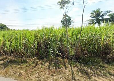 ขาย - ที่ดินจอมบึง ราชบุรี, ราชบุรี