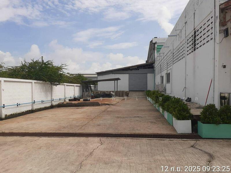 โรงงานให้เช่าขาย ลาดกระบัง สมุทรปราการ ขนาด 4,050 ตร.ม, Samut Prakan, Bang Pla, Bang Plee, Samut Prakan, , 4,050 sqm, Warehouse/Factory For Rent, by ณภัทร พรสิริเมธากุล, 500021998 - DDproperty.com
